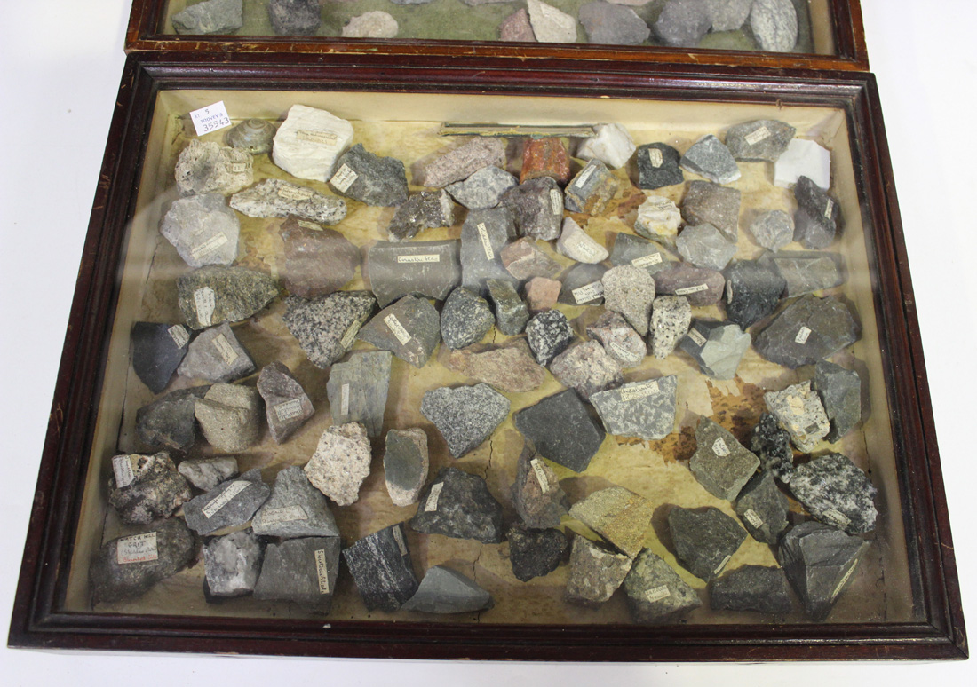 Two 19th Century stained pine table top collector's display cases, containing various mineral - Image 4 of 4