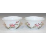 A pair of Chinese famille rose enamelled porcelain tea bowls, probably 20th Century, each of