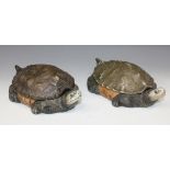 A pair of Chinese porcelain tortoise boxes and covers, late 19th/early 20th Century, each with