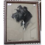 P.B. - 'Angus' (Portrait of the Terrier), pastel, signed with initials and dated 13.10.55, approx