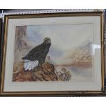 Ian Bowes - 'Across the Loch, Isle of Mull, Sea Eagle', watercolour, signed and dated 1989 recto,