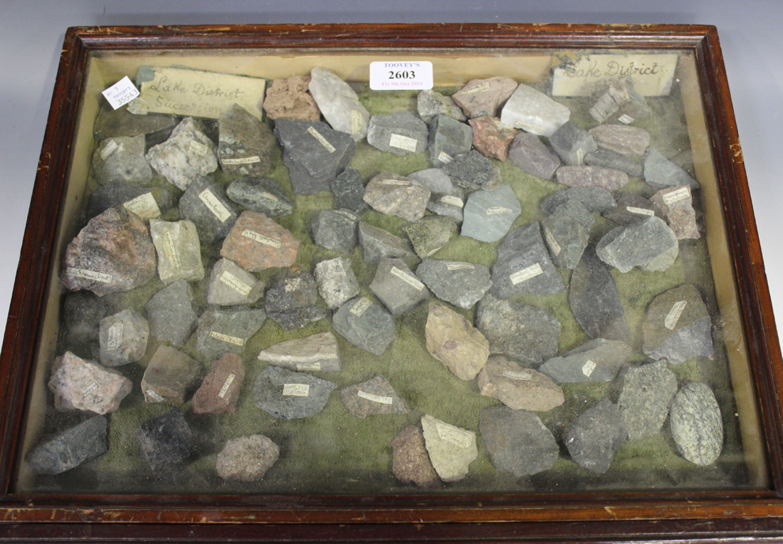 Two 19th Century stained pine table top collector's display cases, containing various mineral - Image 3 of 4