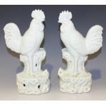 A pair of Chinese blanc-de-Chine export porcelain models of cockerels, 19th Century, each modelled