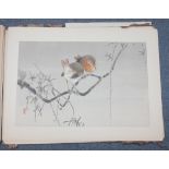 A Japanese folio of prints, 20th Century, containing nineteen prints including flowers, birds,