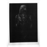 Bruce Rae - Untitled (Bird of Prey), n.d., silver gelatin photographic print, 34.8 x 25.1cm, edition