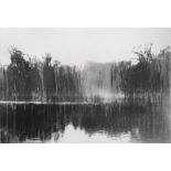 Norman Ackroyd (b.1938) - The Lake at Ditchley Park, 2007, etching with aquatint on paper