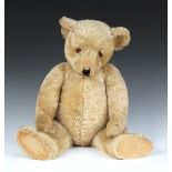 A mid-20th Century mohair humpback teddy bear with amber and black eyes, vertically stitched nose