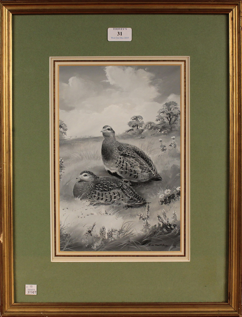 Robert W. Milliken - Study of Grouse, monochrome watercolour, signed and dated '75, approx 29.5cm