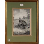 Robert W. Milliken - Study of Grouse, monochrome watercolour, signed and dated '75, approx 29.5cm