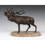 A late 19th Century brown patinated cast bronze figure of a roaring stag, standing upon a canted