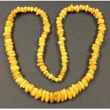 A single row necklace of graduated vari-coloured opaque irregular butterscotch coloured amber beads,
