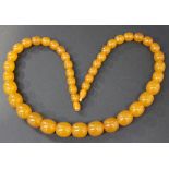 A single row necklace of forty-three graduated oval uniform butterscotch coloured amber beads, on