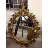 Gold acorn mirror. 106cm x 80cm.