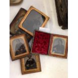 5 Victorian gilt framed photographic miniatures.