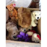 Box of assorted teddy bears including Beanies.