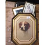 An assortment of framed & glazed prints, mostly dogs.