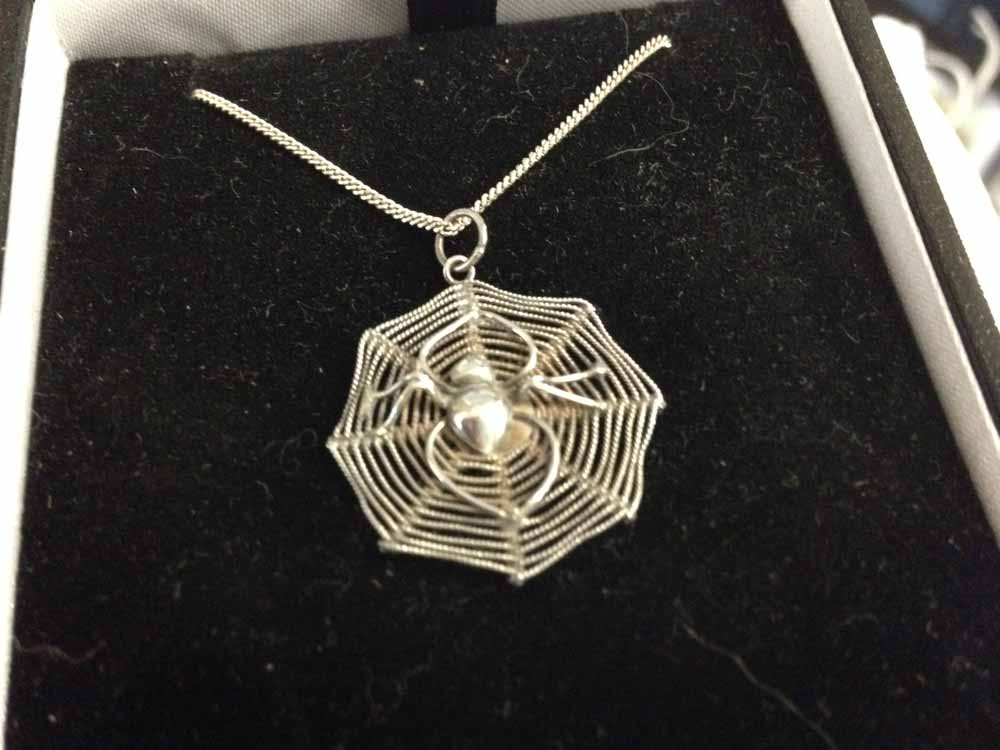 Silver 925 'spider on it's web' pendant on silver chain.