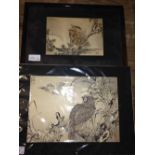 2 Japanese pen & ink drawings of owls.