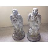 A pair of concrete eagle garden ornaments 47cm tall.