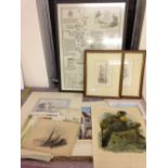 A quantity of framed & unframed pictures & prints to include pen & ink, watercolour, a specimen bird