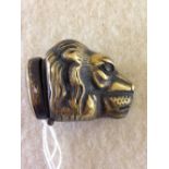 Brass lion head vesta case.