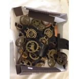 A box of assorted horse brasses