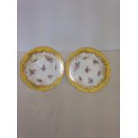 Pair of 19th century Coalport plates with hand painted floral design and bright yellow borders &