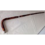 A silver tipped and collared walking cane, Birmingham 1900, maker BB.