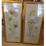 A pair of framed & glazed prints of long stemed flowers.