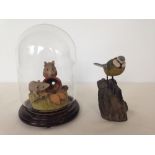 2 Arden wildlife sculptures 'Mouse Duo' in glass dome and bluetit.