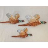 A set of 3 Beswick pheasant wall plaques 661/1,2 & 3 smallest as found.