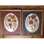 A pair of framed & glazed dried & pressed flower pictures by Susan Ringwood. Each 38 x 30cm.