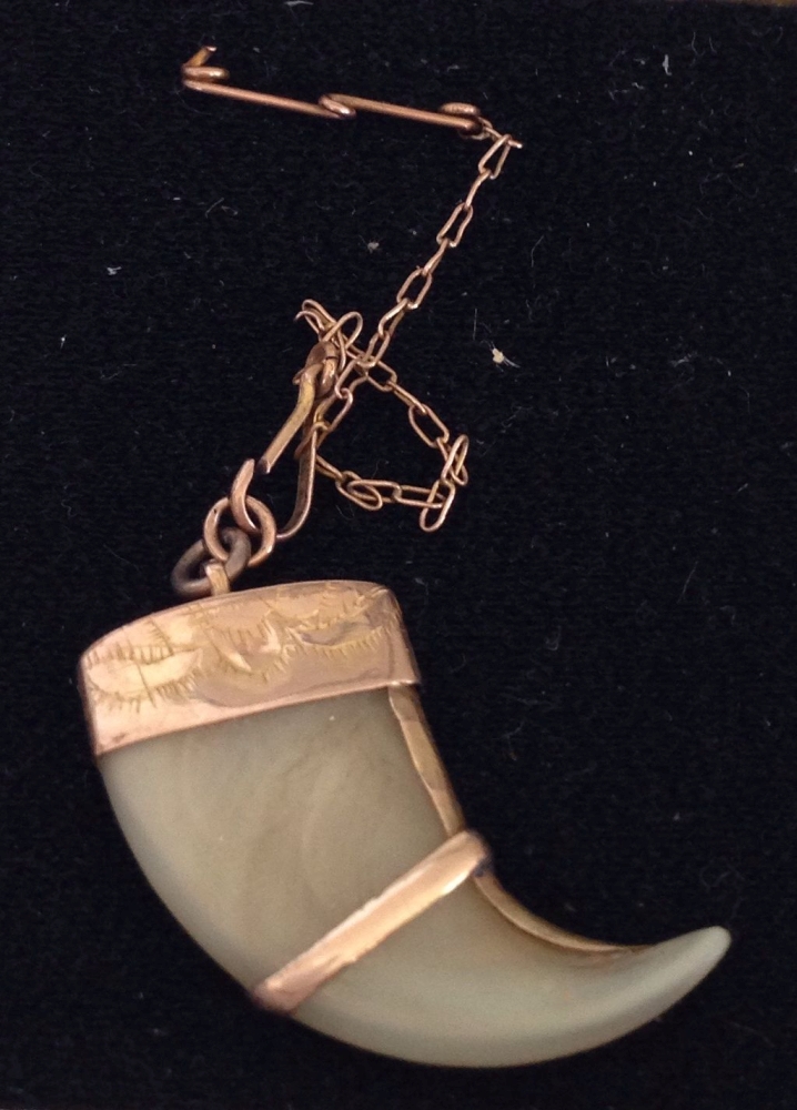 Antique animal claw pendant/charm in gold mount. Tests as 14ct gold.