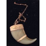 Antique animal claw pendant/charm in gold mount. Tests as 14ct gold.