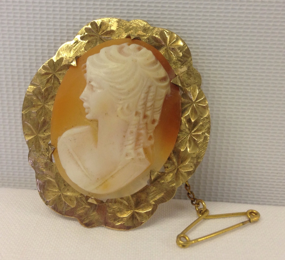 Cameo brooch set in decorative 9ct gold mount with safety chain.