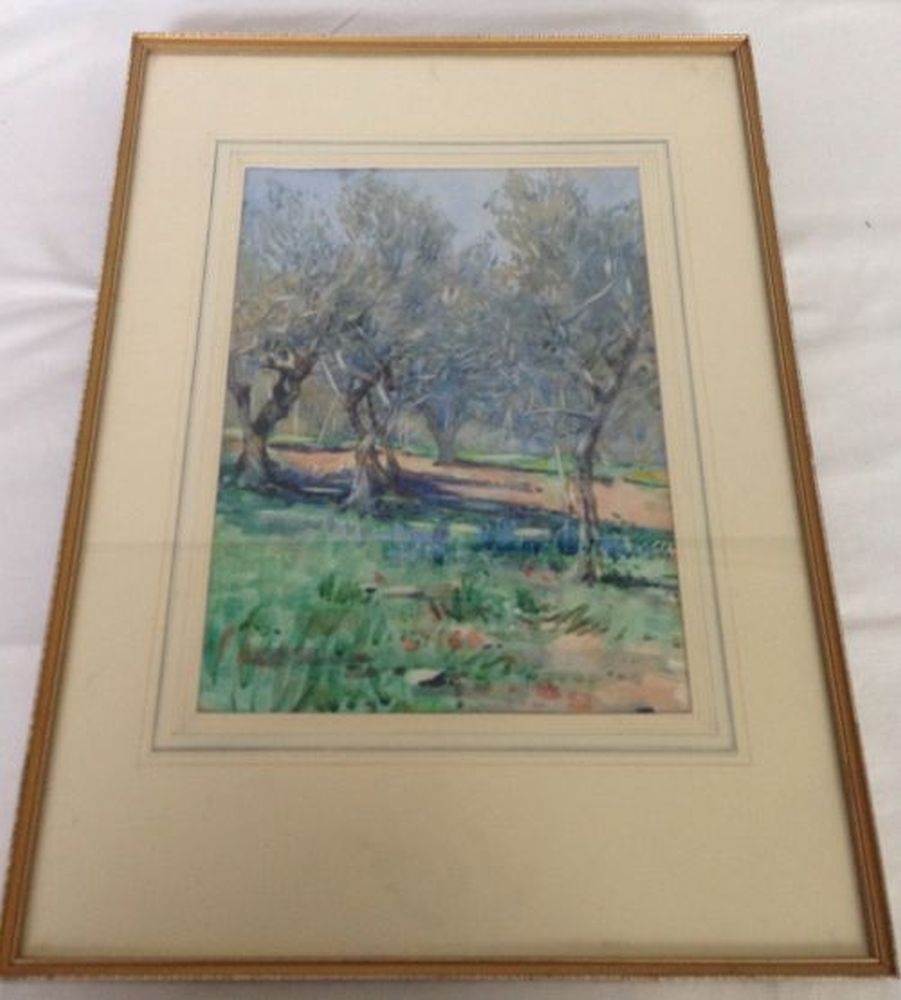 A framed & glazed watercolour of a Mediterranean olive grove - unsigned. 55 x 39cm.