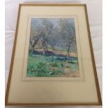 A framed & glazed watercolour of a Mediterranean olive grove - unsigned. 55 x 39cm.