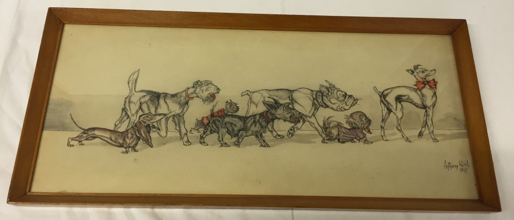 Original pen & ink drawing of dogs by Anthony Reid. Signed and dated 1967. 33 x 73cm.