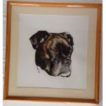 A framed & glazed watercolour of a boxer dog by E.M.R. Allder.