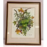 A F&G watercolour of apples and blackberries by D Lambert size of frame 52 x 42cm
