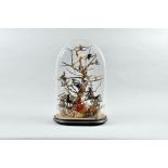 A Victorian glass cased taxidermy display of eleven humming birds in a naturalistic setting, the