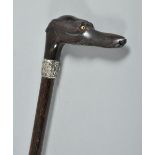 A Victorian rosewood walking cane, the handle carved as a greyhounds head and with silver buckle
