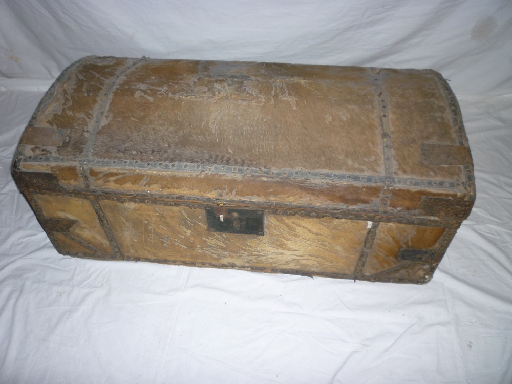 A 19th century rectangular domed travelling trunk covered with pony/deer skin and metal bands