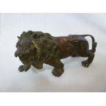 A small bronze figure of a prowling lion 6" long