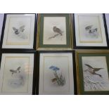 Six Japanese watercolours depicting numerous birds, signed, 11" x 8" (6)