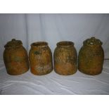 Four old matching terracotta rhubarb forcers, 14½" high, two with lids (4)