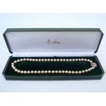 A single strand of cultured pearls, with