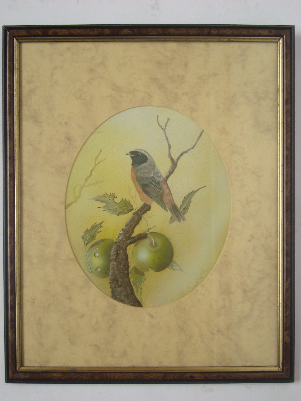 A 20th Century study of a songbird perched on an apple branch, in the oval.