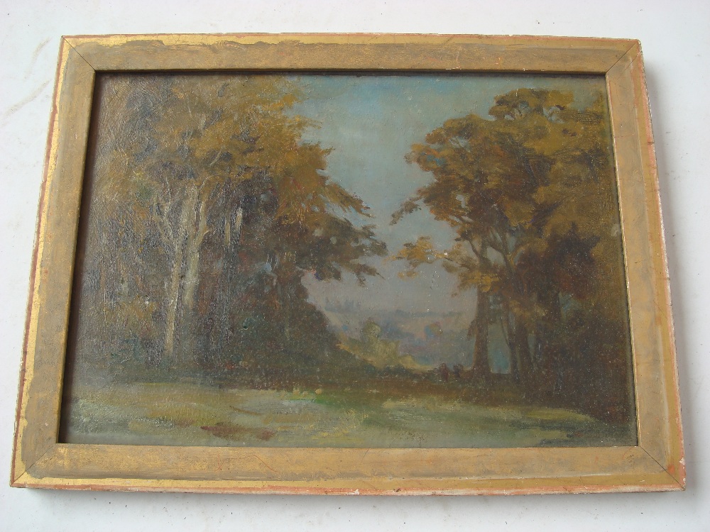 Early 20th Century British, wooded landscape, oil on board, written in pencil verso Stonewall Park,
