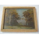 Early 20th Century British, wooded landscape, oil on board, written in pencil verso Stonewall Park,